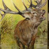 práca mojej pani manželky