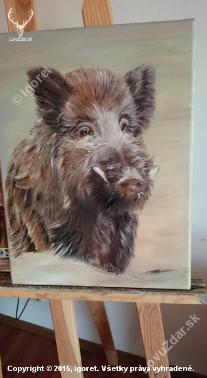 práca mojej pani manželky