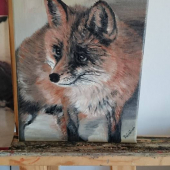 práca mojej pani manželky