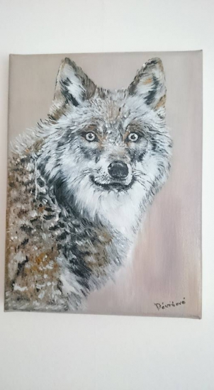 práca mojej pani manželky