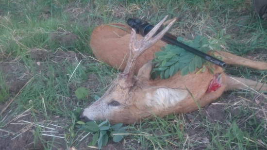 zaslúžená 3VT kolegu poľovníka