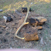 potesi aj taky aspon nozik