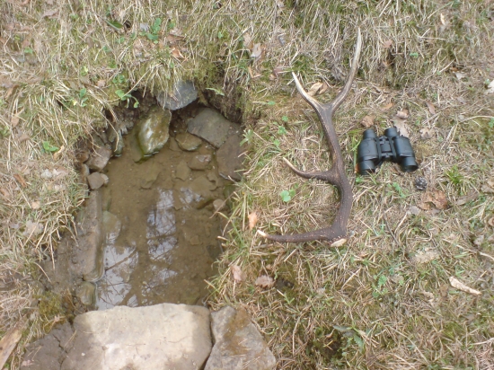 ked sa staste usmeje