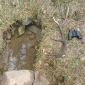 ked sa staste usmeje