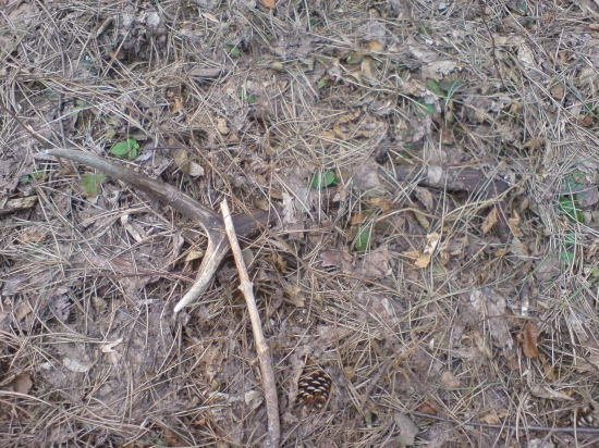 ked sa staste usmeje 2