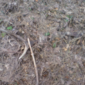 ked sa staste usmeje 2