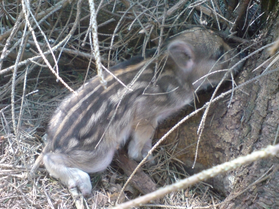 tak toto nezazijete kazdy den