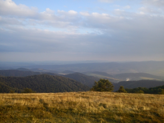priroda je krasna, Minčol