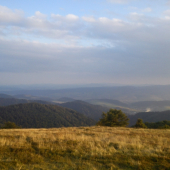 priroda je krasna, Minčol