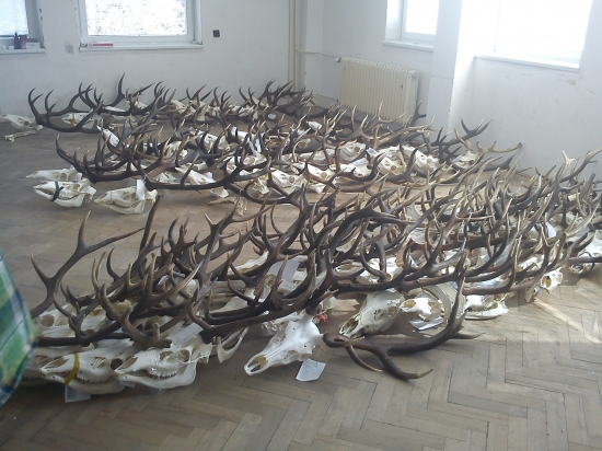 bodovanie - čergovské trofeje