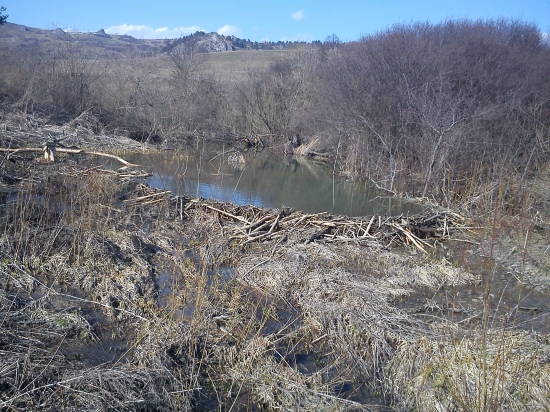 sanku som mal dole od prekvapenia !!!