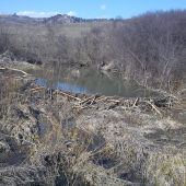 sanku som mal dole od prekvapenia !!!