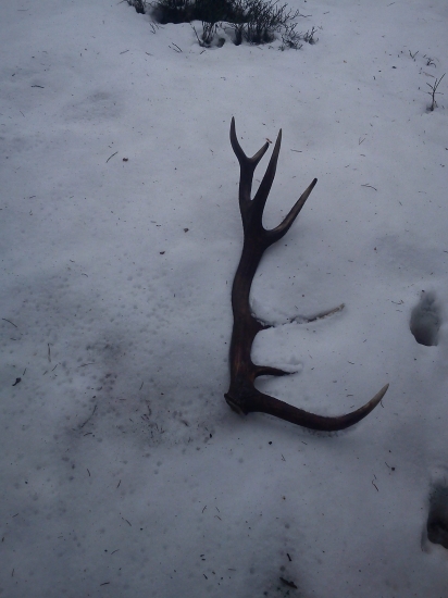 čergovský 6 rokov bronz