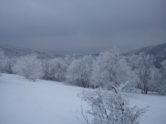 7.apríl, či december ???