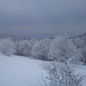 7.apríl, či december ???