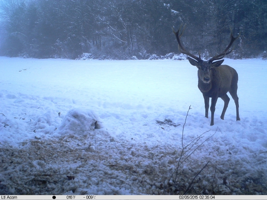 12-torák zapózoval