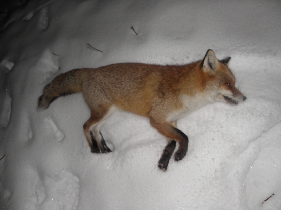 Po dlhšej prestávke 8 ma