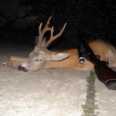 Srnec na poslednú chvíľu lll.vk trieda