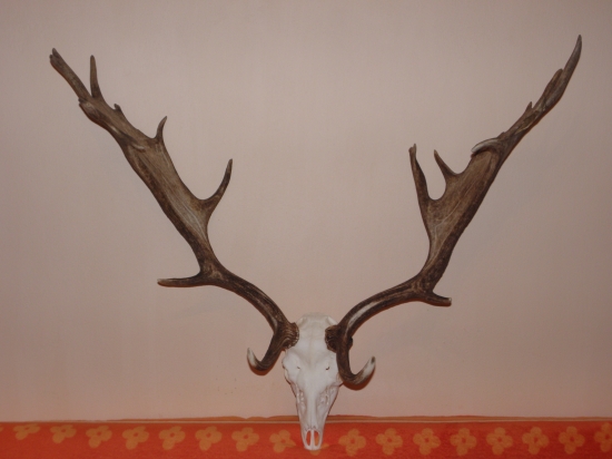 Rozloha celkom dobrá...