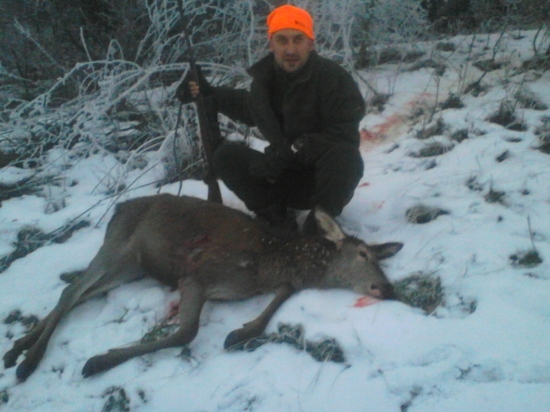 Jelienča z Hornej Nitry