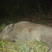 Ešte jeden spred týždna