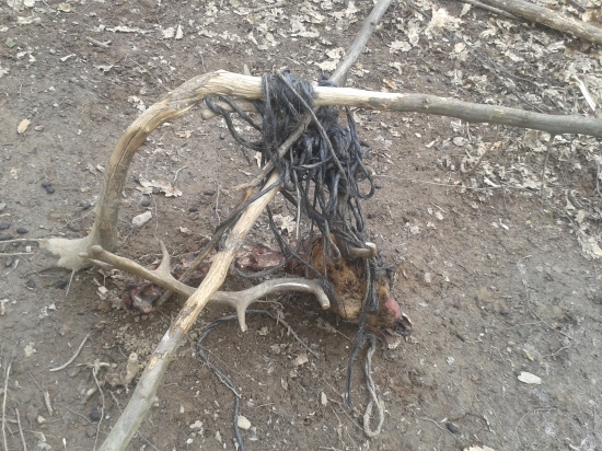 Ked som niesol sol do solisk