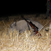 Na Ortaši sa nám s Jakubkom darí