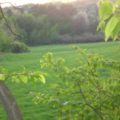 najoblubenejsi posed