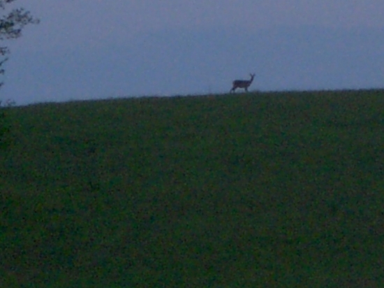 trochu viac neostre