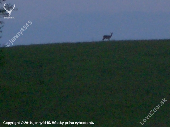 trochu viac neostre