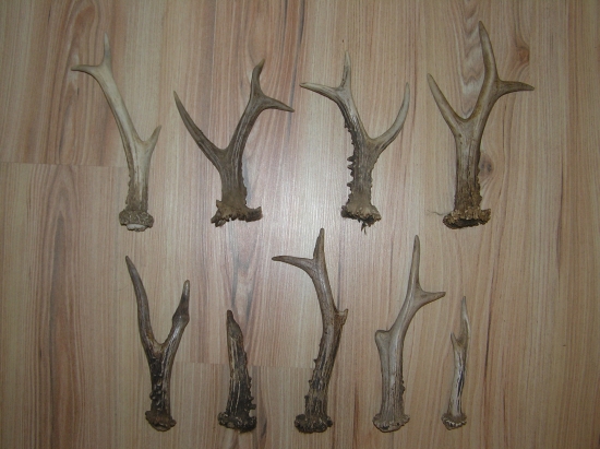 tohtoročné zhodíky, v pravo hore dnešný.