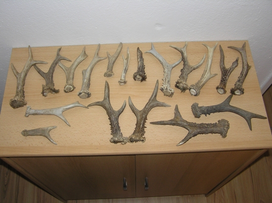 zbierka 2012 sa stále rozrastá.v pravo dole dnešný,zatial najsilnejší