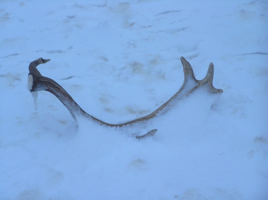 snežná lopata za 196 bodov