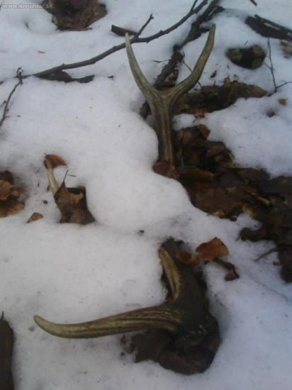 Prvy v roku pana 2010