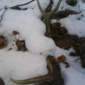 Prvy v roku pana 2010