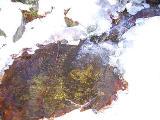 priroda1