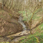 potůčkem