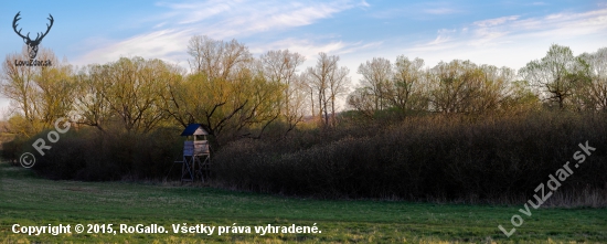 Zátišie s posedom