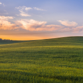 Podvecerna krajinka