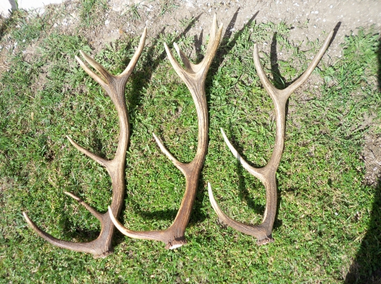 zatiaľ moje naj ;-)