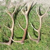 zatiaľ moje naj ;-)