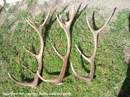 zatiaľ moje naj ;-)