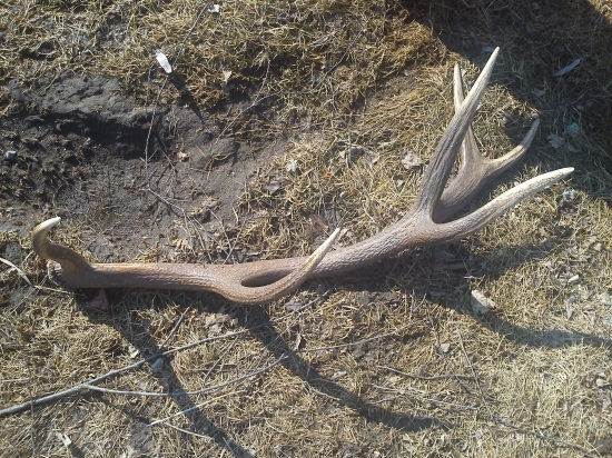 mohol byť môj keby som šiel 2minútky skôr :)