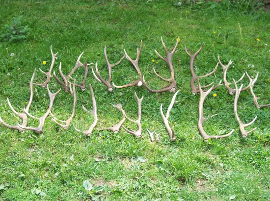 kilometre a kilometre chodenia :) .. ale oplatí sa ! :)