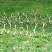 kilometre a kilometre chodenia :) .. ale oplatí sa ! :)