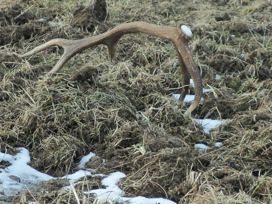 nájdený s mojou priateľkou :)