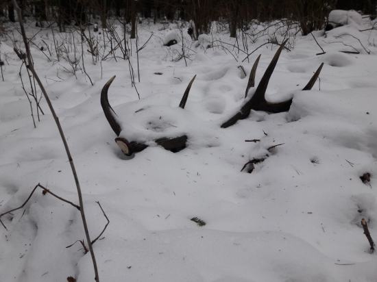 Konečne sa zadarilo 