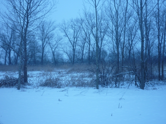 december 2010