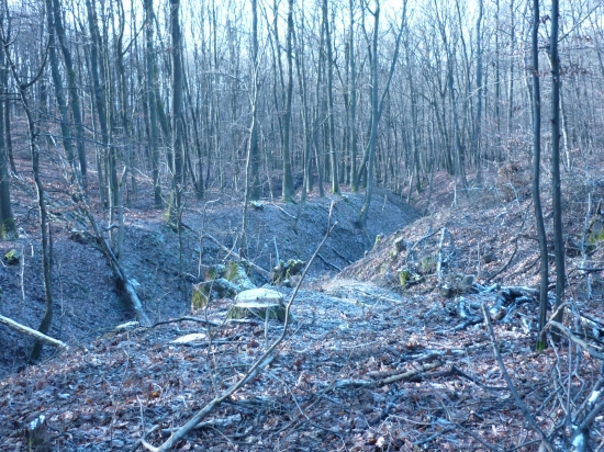 januar 2010