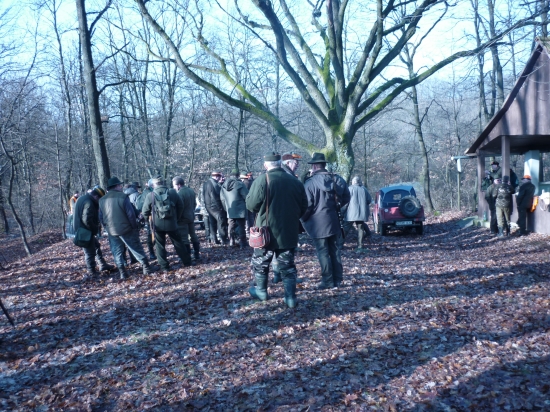 spoločná poľovačka